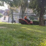 Pielęgnacja zieleni miejskiej – Mały Rynek