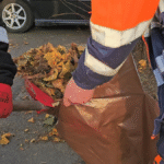 Oczyszczanie chodników i parkingów z zalegających liści