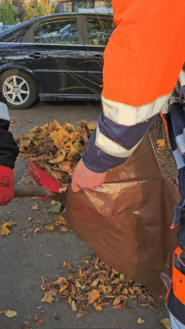 Oczyszczanie chodników i parkingów z zalegających liści